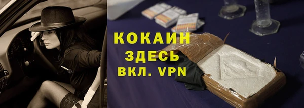 гидра Алексин