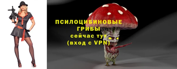 гидра Алексин