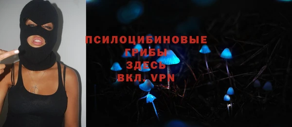 гидра Алексин